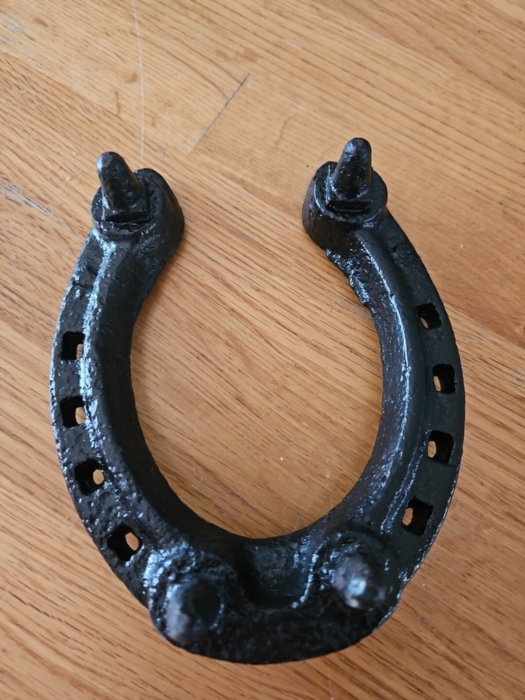 Black Decorative Horse shoes