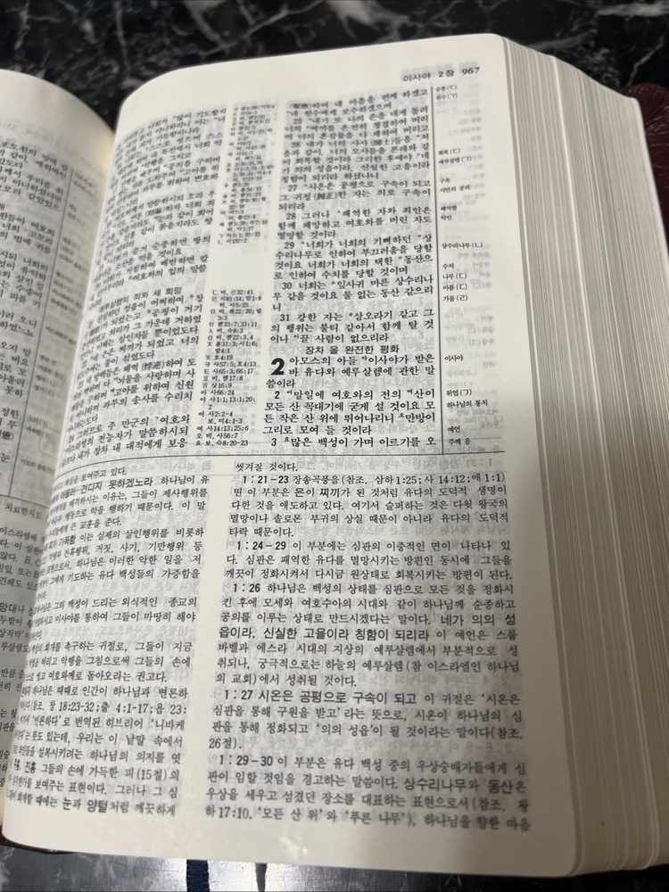 Korean New Thompson Annotated Chain Reference Bible 100th Anniversary Edition
