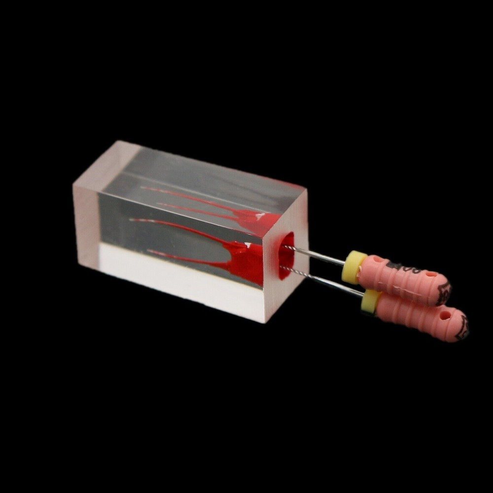Dental Endo Root Canal Teeth Model Study Practice Block RCT Pulp Cavity