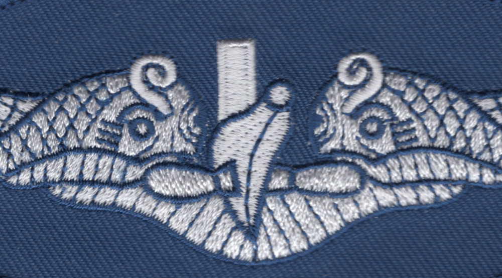 Silver Dolphins Small Patch