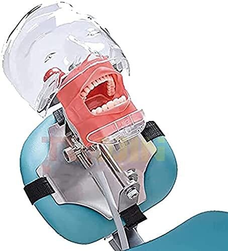 Dental Simulator Manikin Phantom Head Model Teeth Model for Training Practicing
