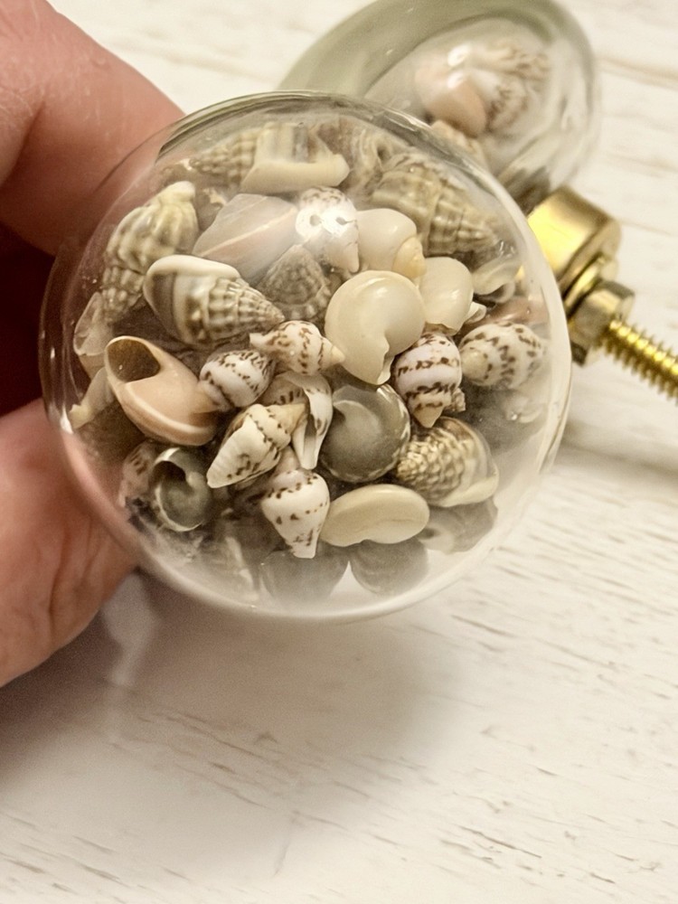 1 Seashell Filled Glass Drawer Pulls Knobs Cabinet Nautical Beach Decor Hardwar