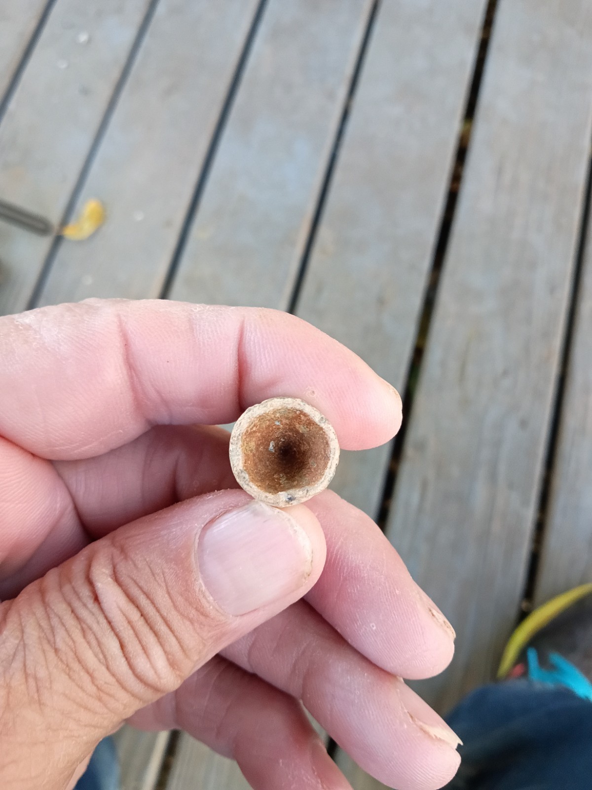 Civil War (1861-65) Original CS Nose Cast .577 ENFIELD Alexandria Louisiana