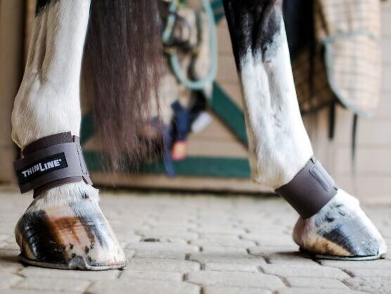 ThinLine Pastern Wraps - Various Colors