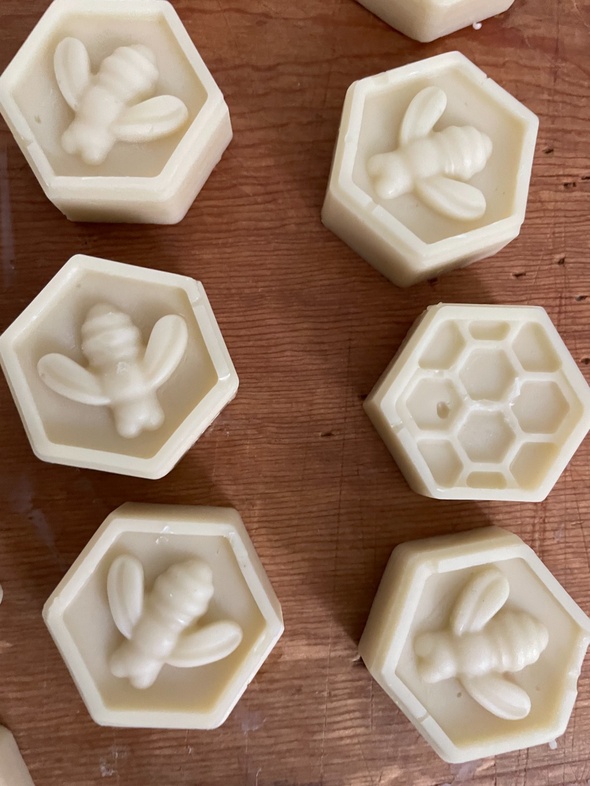 Carpenter bee. Attractant Super Lure - 2026 Works in the rain Keeps scent longer