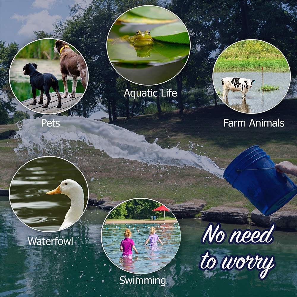 Phosphate Eliminator 40 lb