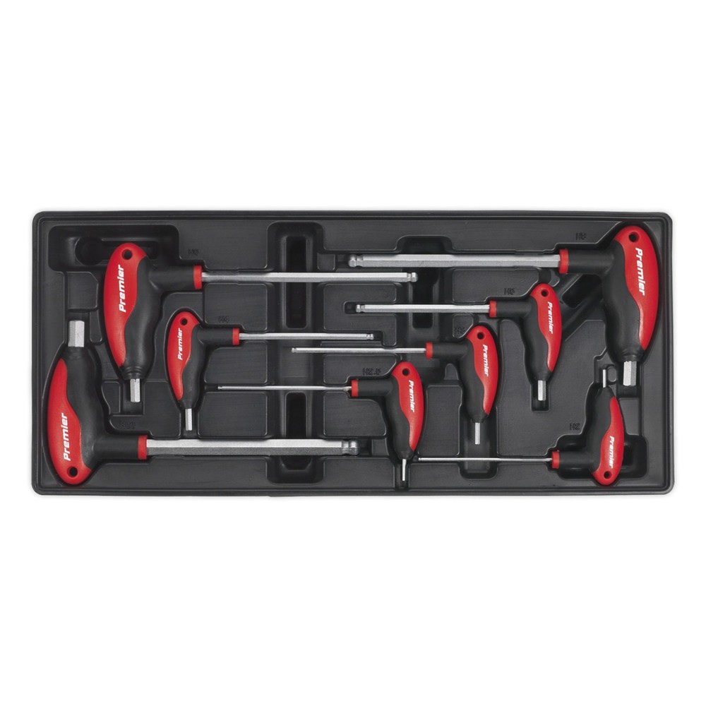 Sealey Tbt06 Tool Tray With T-Handle Ball-End Hex Key Set 8Pc