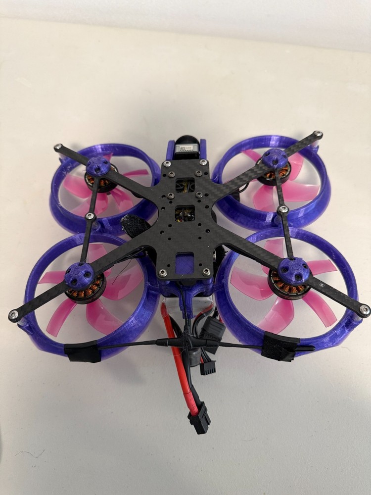 Cinewhoop Custom FPV Drone