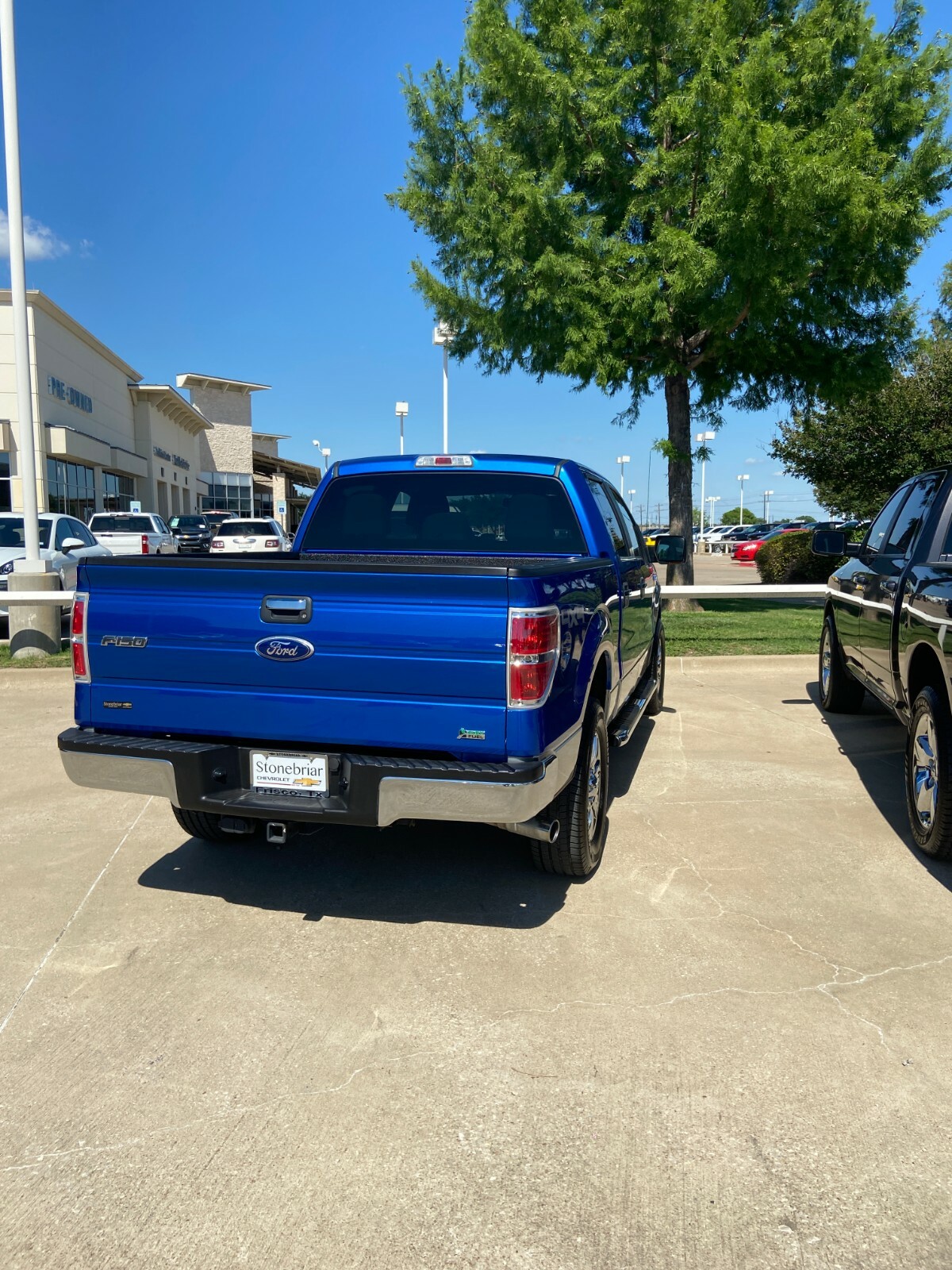 21" Antenna Black for Ford F150 2009-2020