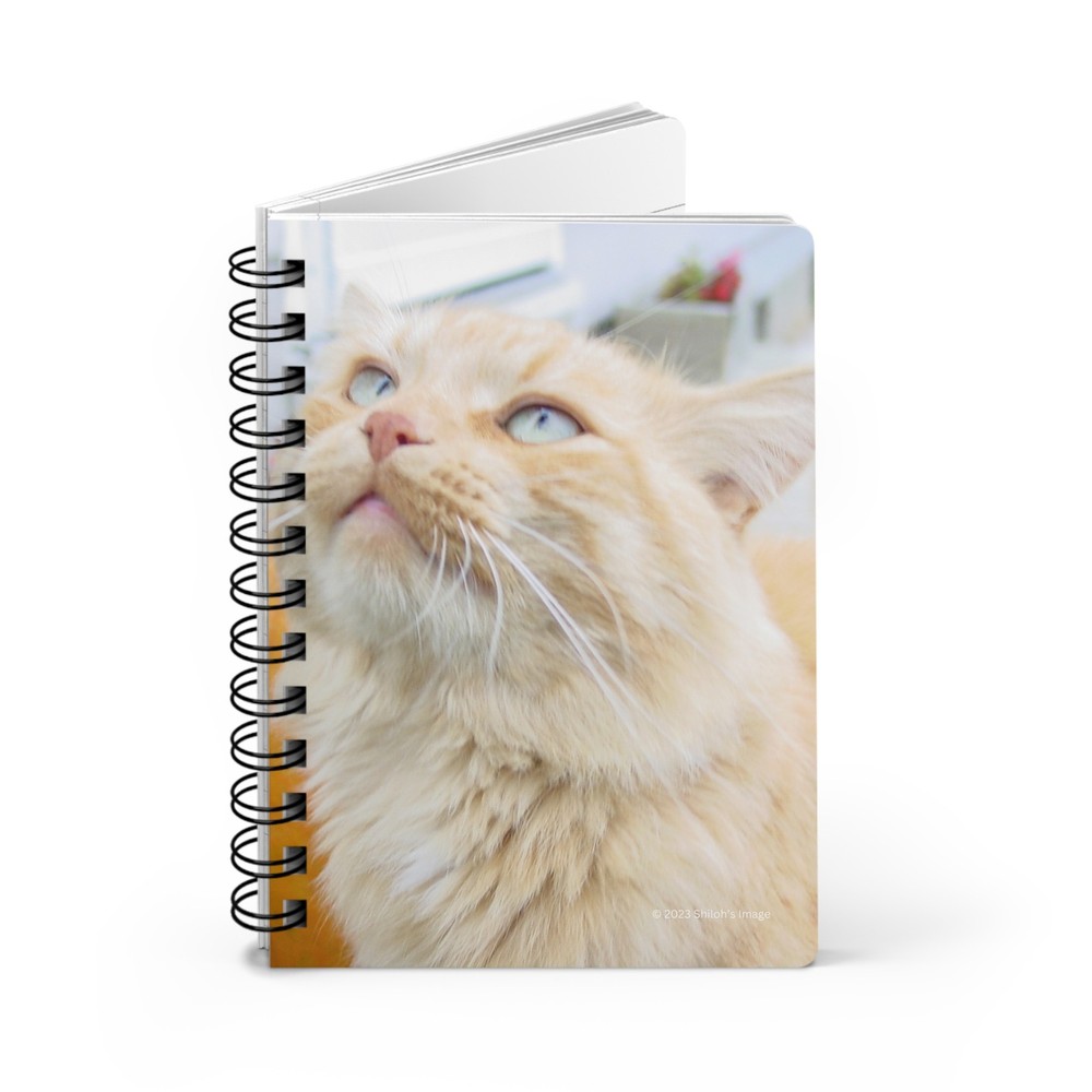 Orange Tabby Cat Spiral Bound Journal