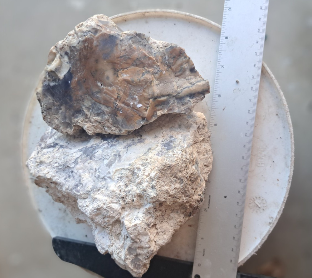 Amethyst sage agate lapidary rough 5 lbs.