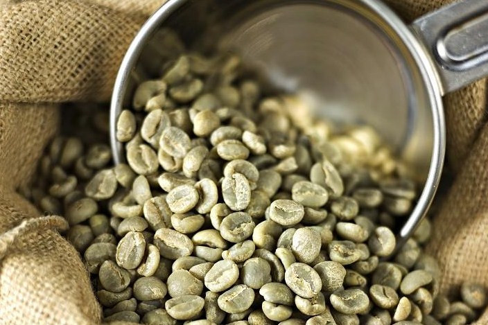 5 LB Green Coffee Beans - Honduras