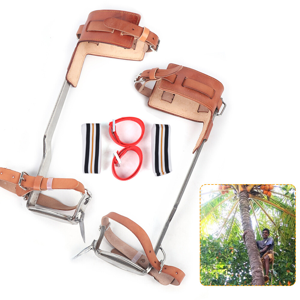 2pcs Tree Climbing Spikes, Stainless Steel Tree Climbing Tool, Adjustable Strap