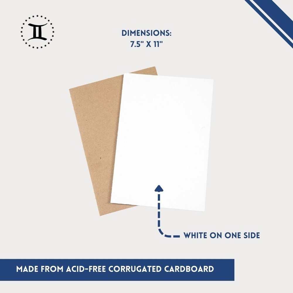 GEMINI Thick-Grip Short Comic Storage Box with Box Divider Bundle