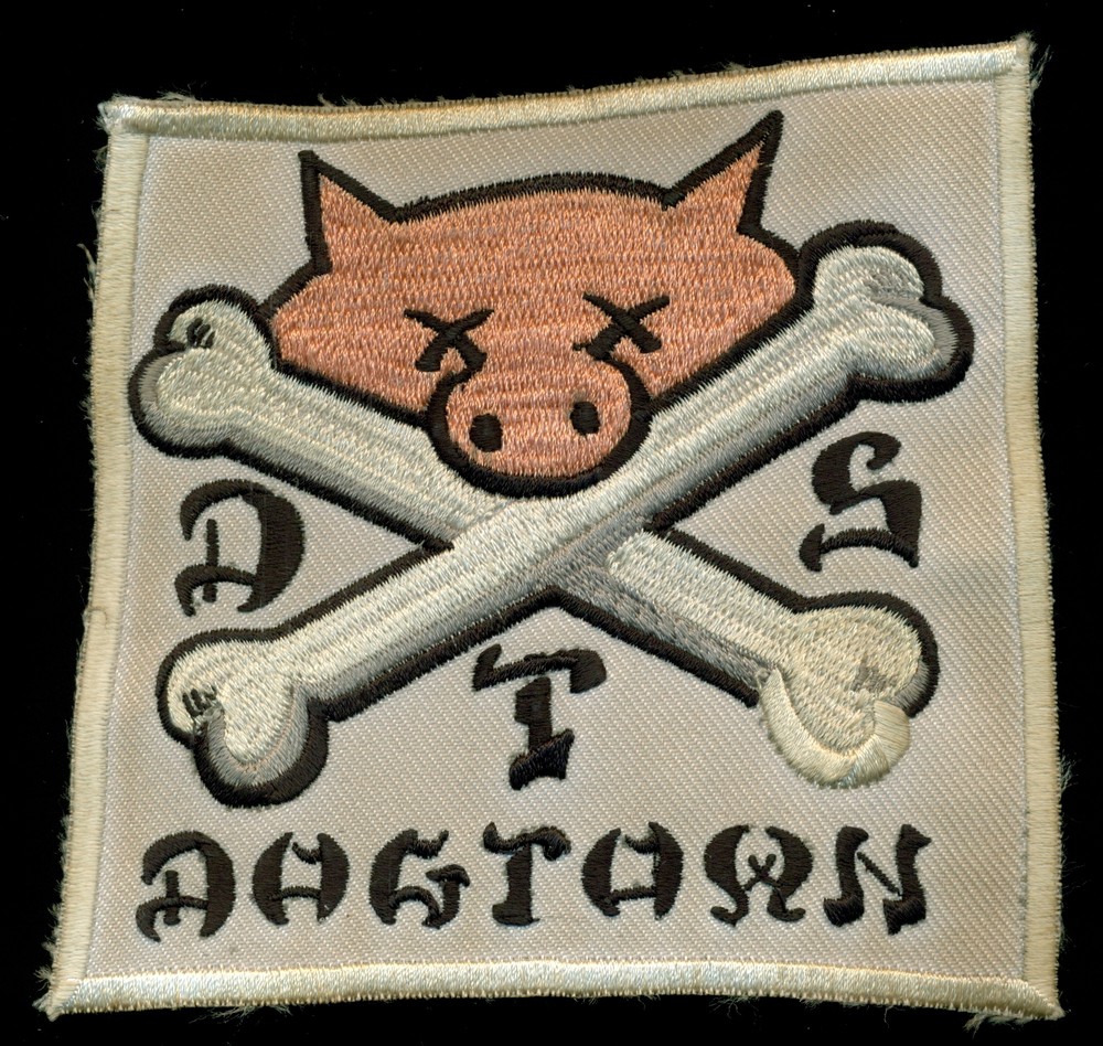 Dogtown DTS Skateboard Patch S-12