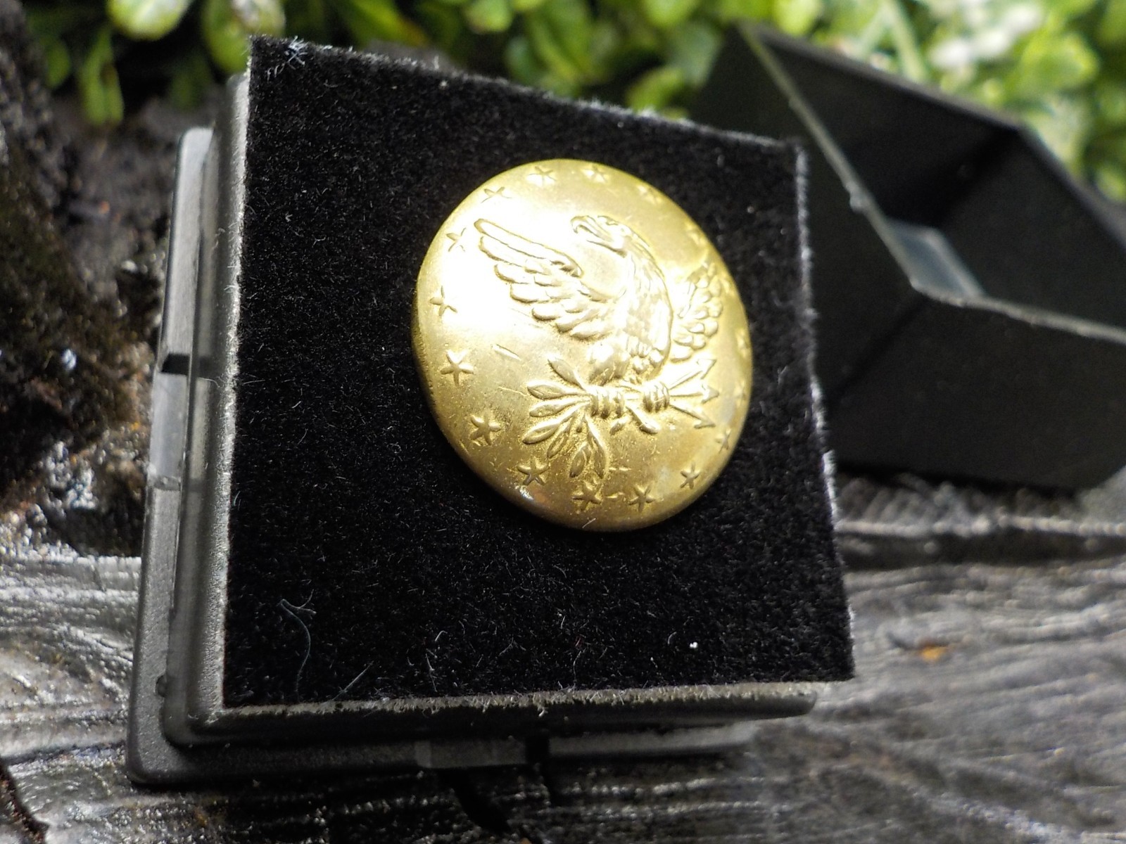 Old Rare Vintage Antique Relic Pre Civil War Militia Officers Coat Button w/Gold