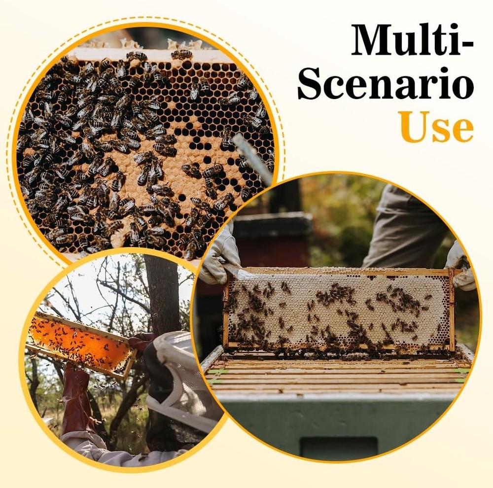 Deep Brood Bee Frames and Wax Foundations,10 Pack Honey Beehive Frames with Bees