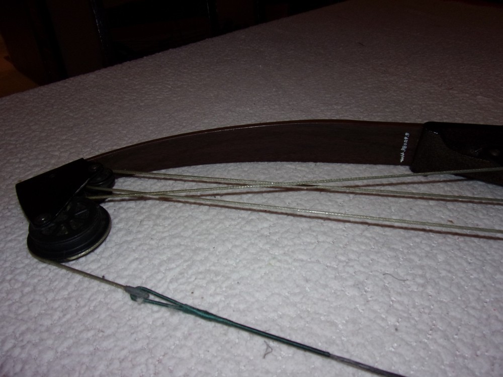 Bear Whitetail Hunter Compound Bow SEE DESCRIPTION