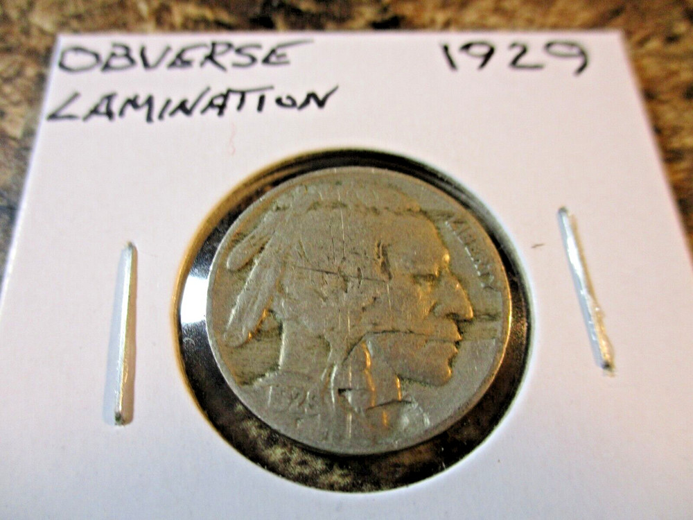 1929 BUFFALO NICKEL OBVERSE LAMINATION    CC