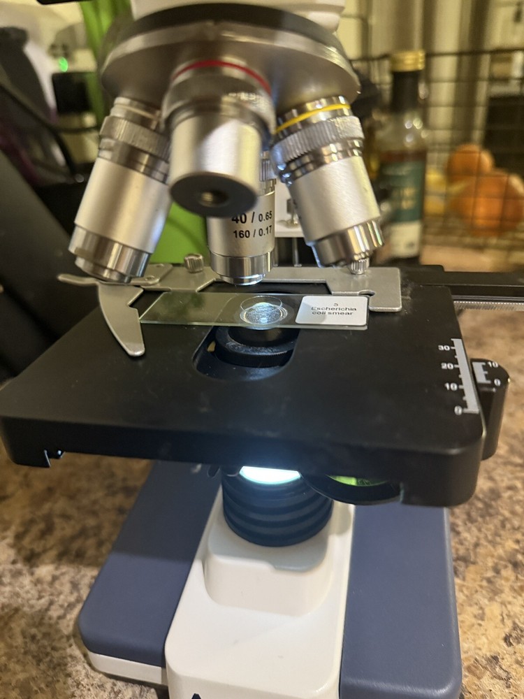 Microscopy Bundle