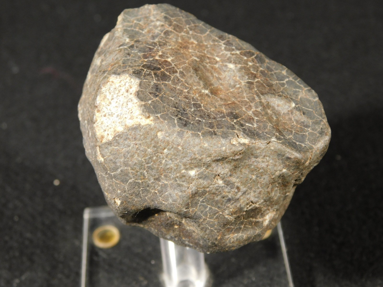 H6 Stony METEORITE Regmaglypts DARK Fusion Crust and Contraction CRACKS! 138gr
