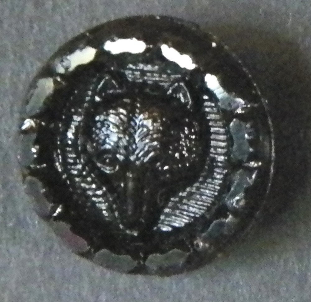 Bb FOX HEAD ANTIQUE BLACK GLASS BUTTON