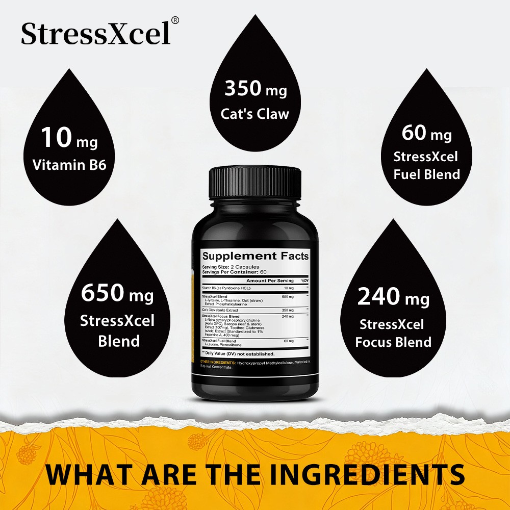 Brain Boost Nootropic Supplements Improve Cognitive Memory Mental Clarity US