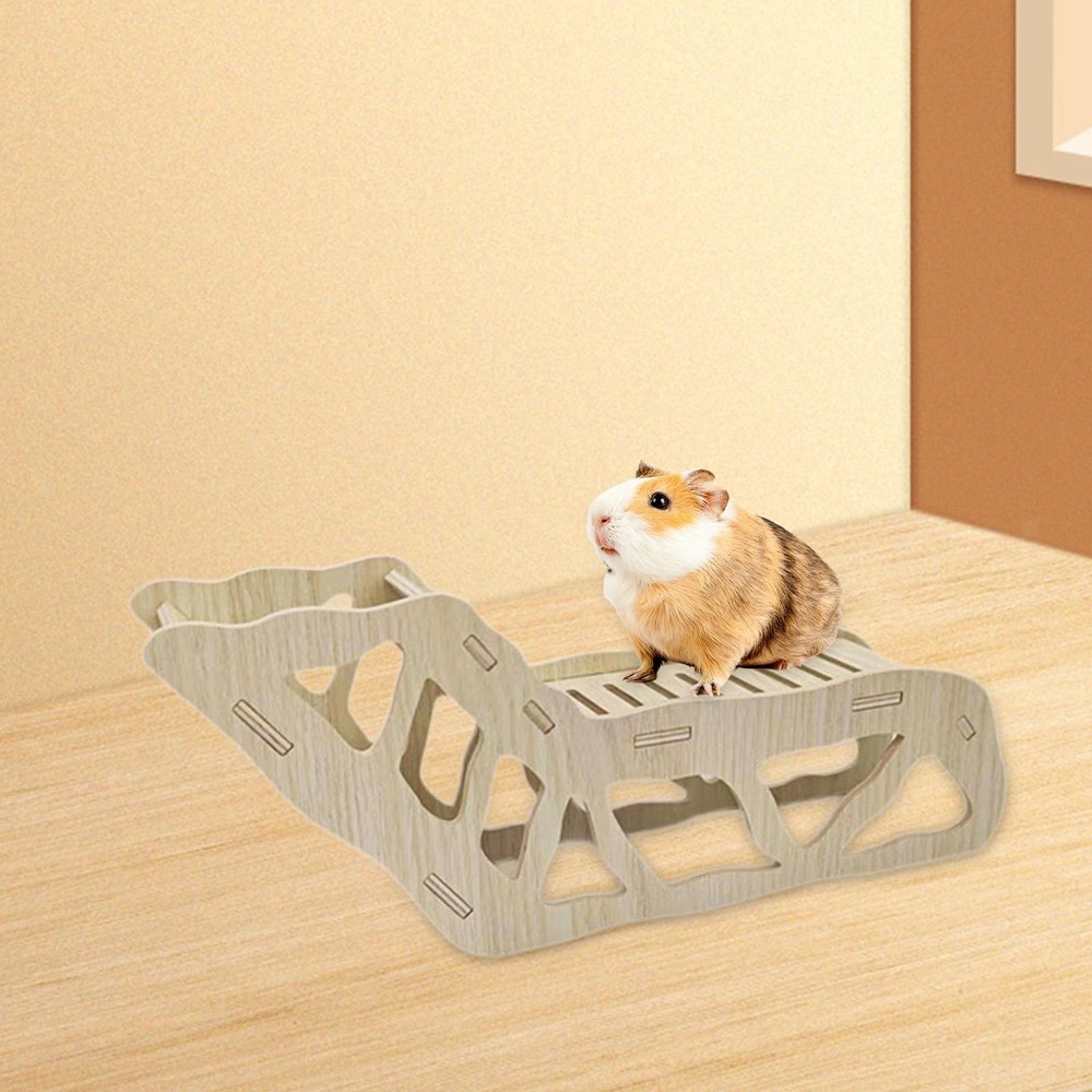 Hamster Ladder Digging Hamster House