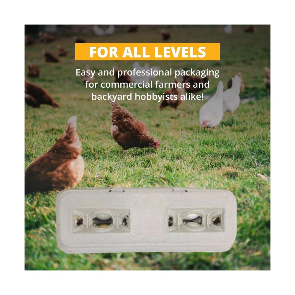 Stromberg's Large Blank Egg Cartons, Bulk Pack for Large Eggs, Perfect for Cu...