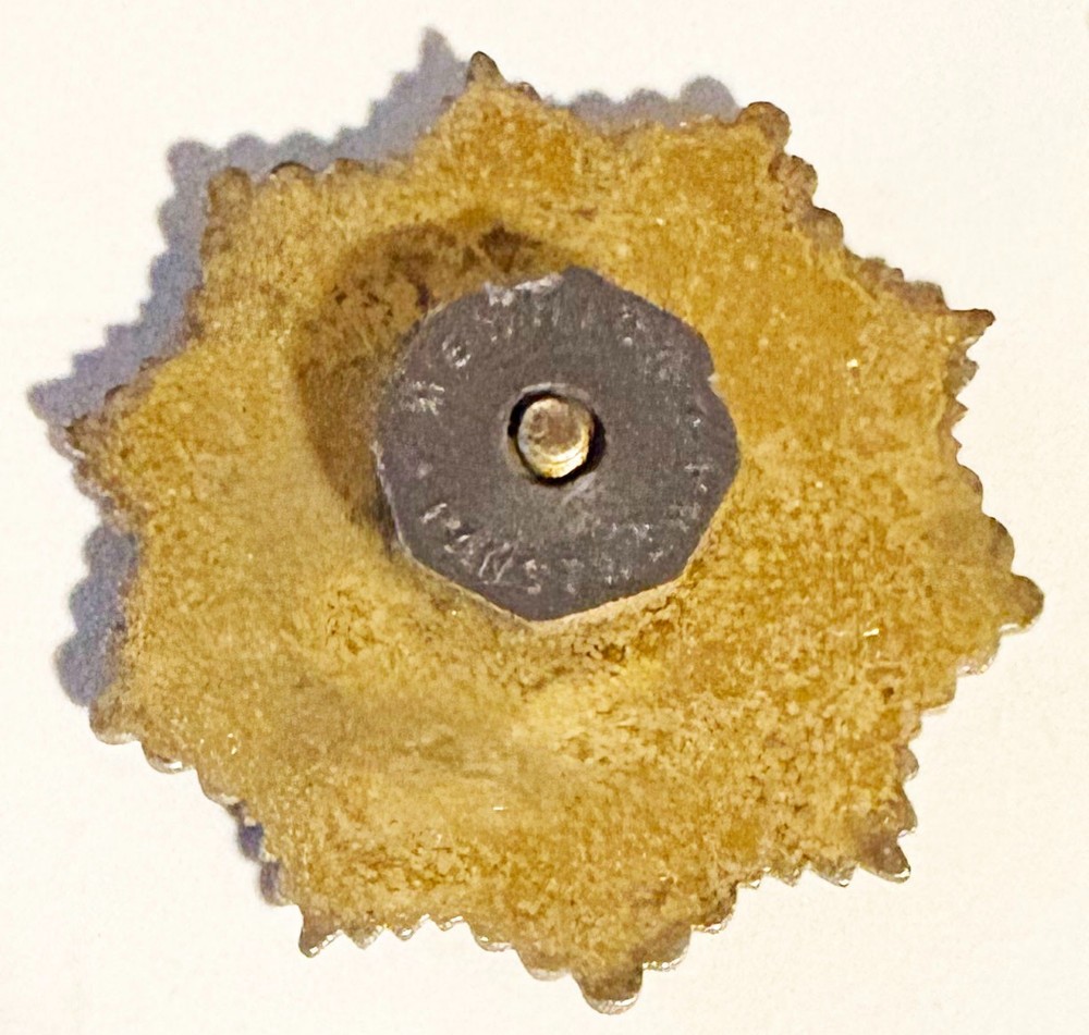 Polish Distinguished Military Pilot Badge