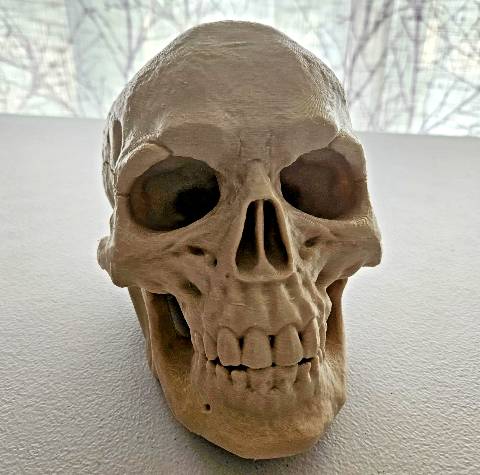 Large 3D Printed Human Skull 8 inch • Bone Color • Realistic Artistic Model