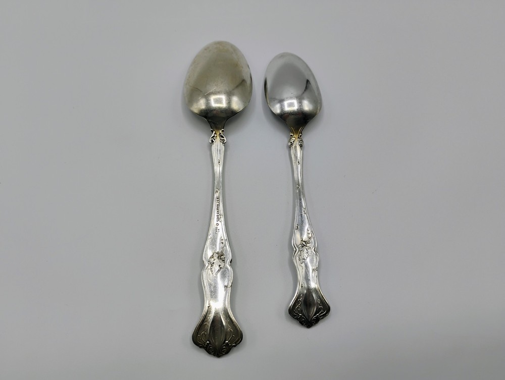 1847 ROGERS BROS Silverplate Grape Pattern Serving Spoon & Table Spoon