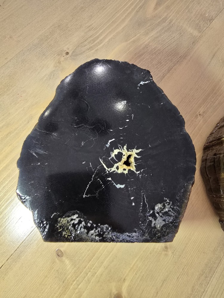 Petrified Wood Book Ends Glossed