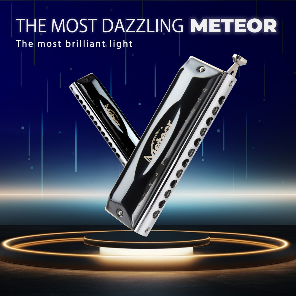 Chromatic Harmonica 12 Hole C Key Professional Harmonica with Case for Beginner