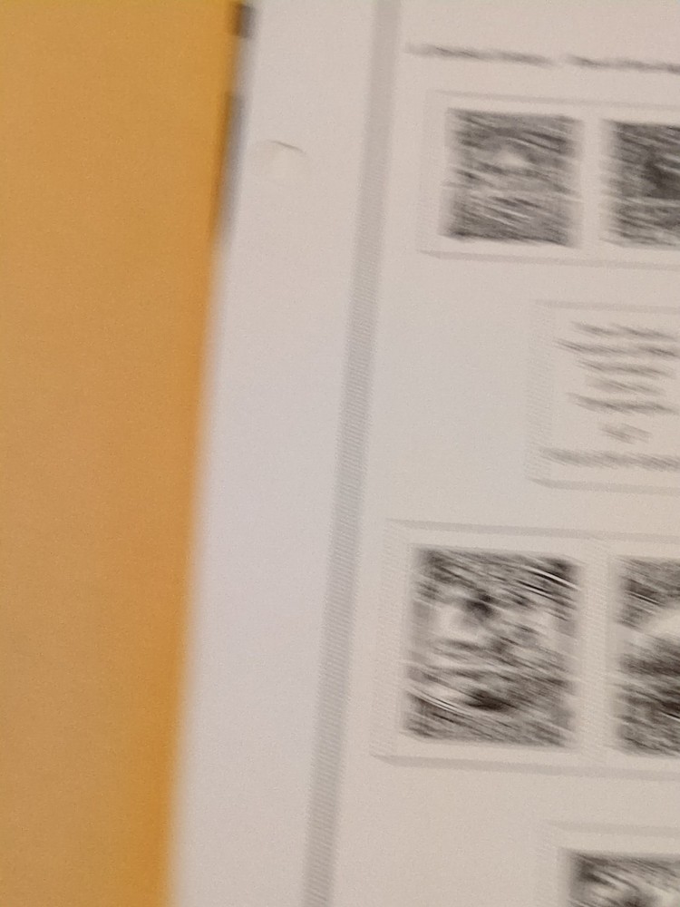 APC Z6403 Scott Intenrational Pages NIUE 1902-1984