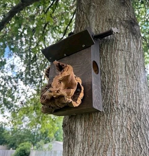 Custome Made Bird Houses
