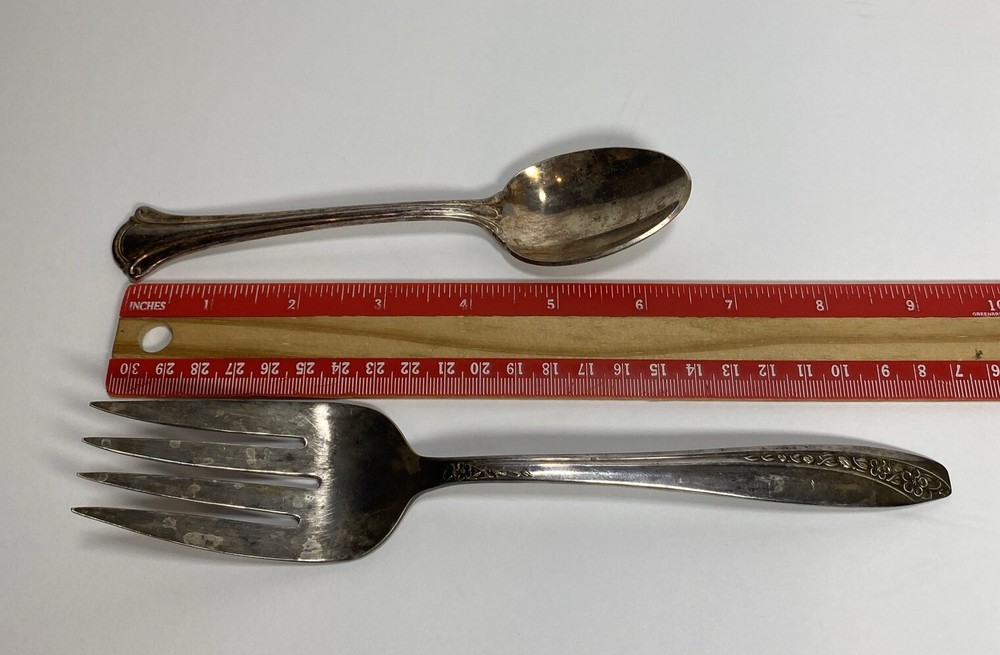 WM Rogers Starlight Pattern Serving Fork & International Silver Serenity Spoon