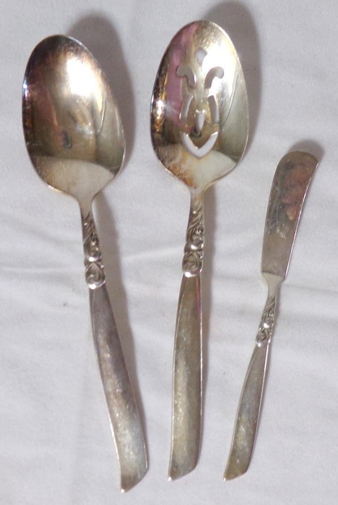 South Seas Community Silverplate Flatware Set 75 Pieces
