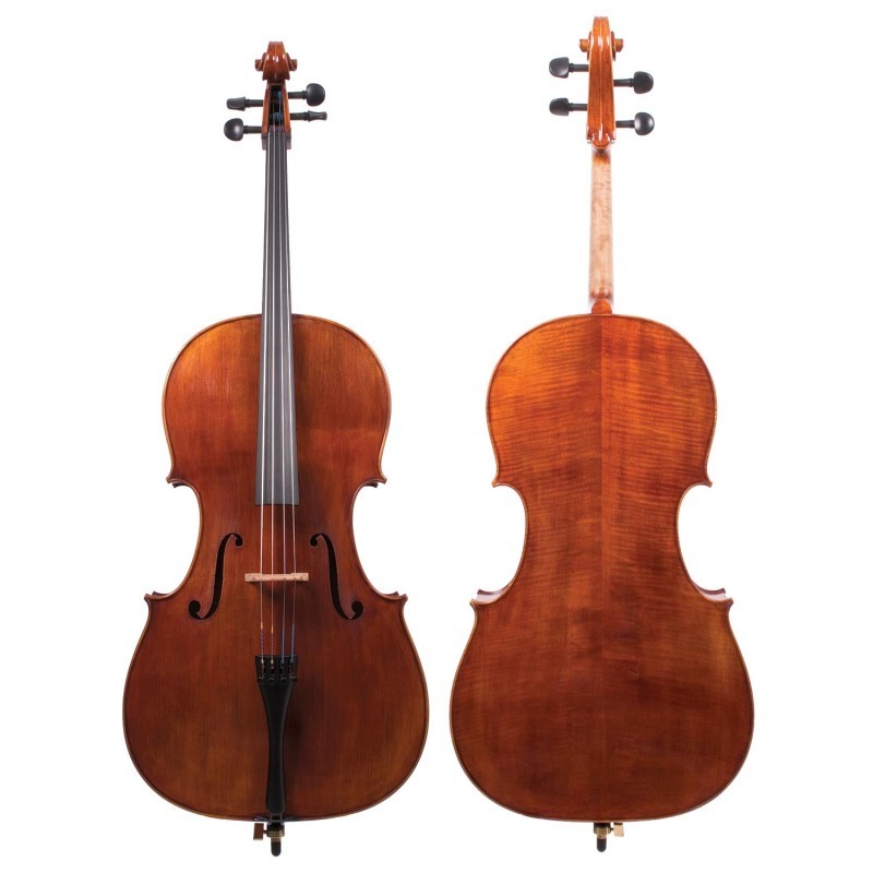 Snow SC200 Cello