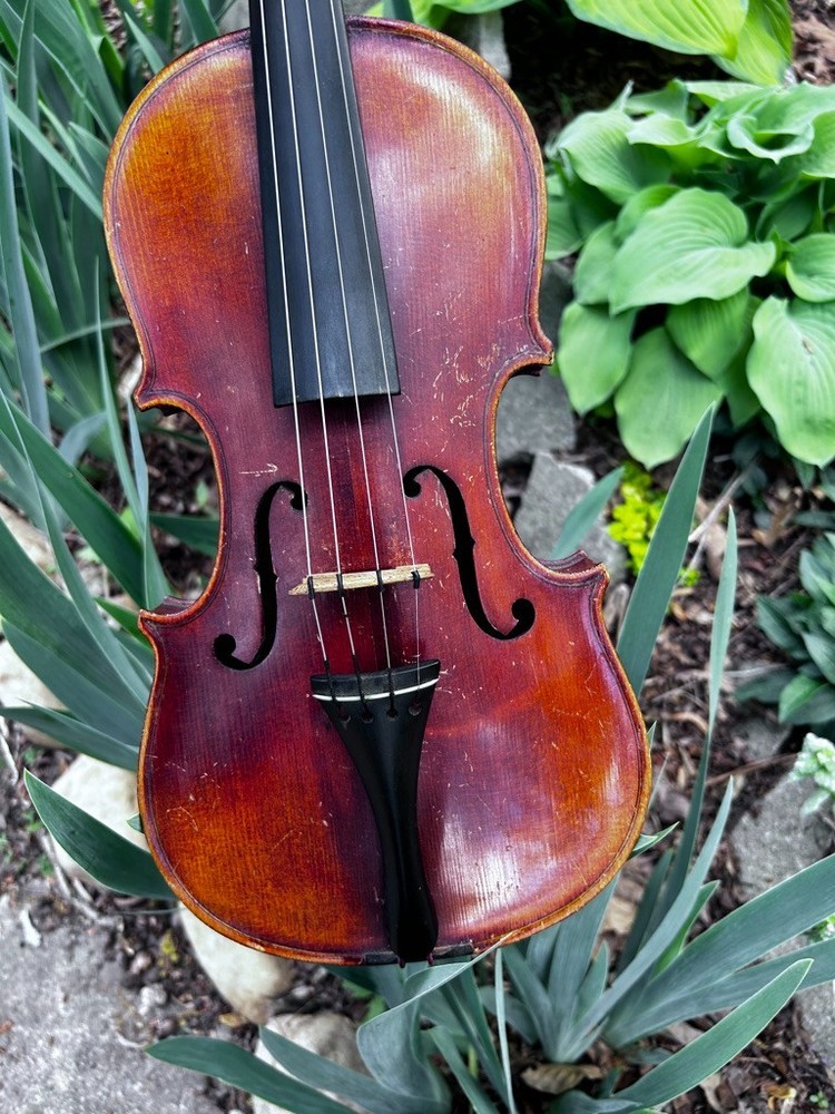 violin