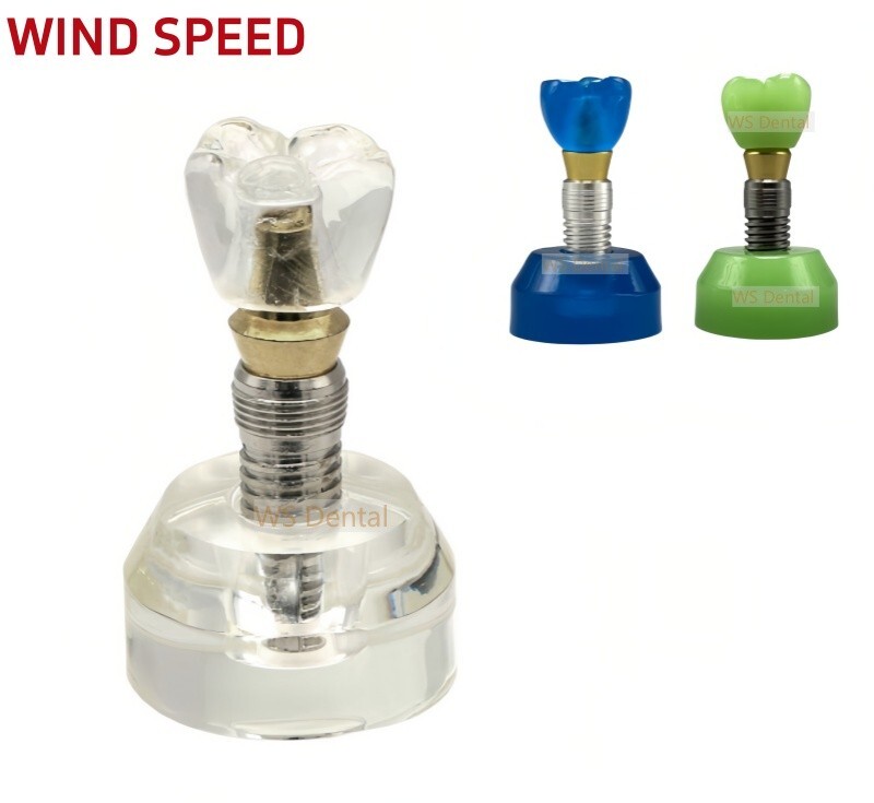 Dental Implant Model Demonstration Teeth Study Teach Models Detachable M2020