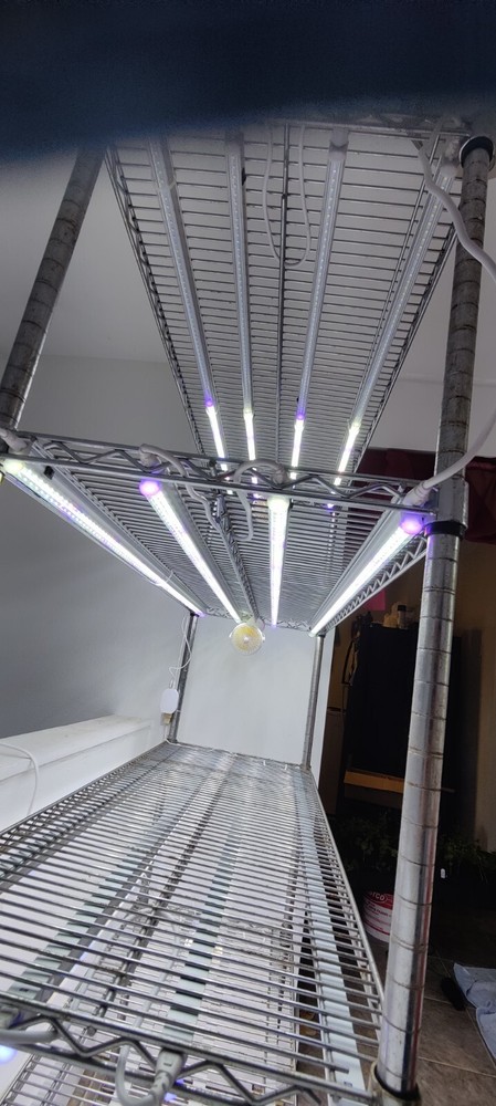 Lost Coast Lights 2 Pack 2ft LED CLONE LIGHTS 