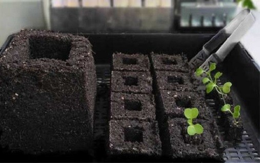 Ladbrooke Soil Blocker 2-Pc Set - Micro 20 w/ Cubic Inserts. Authorized Reseller