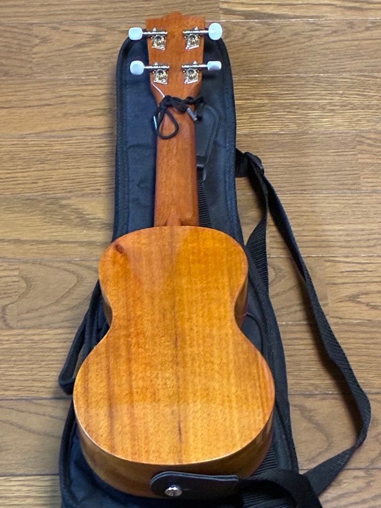 Famous FS-5G (good condition)