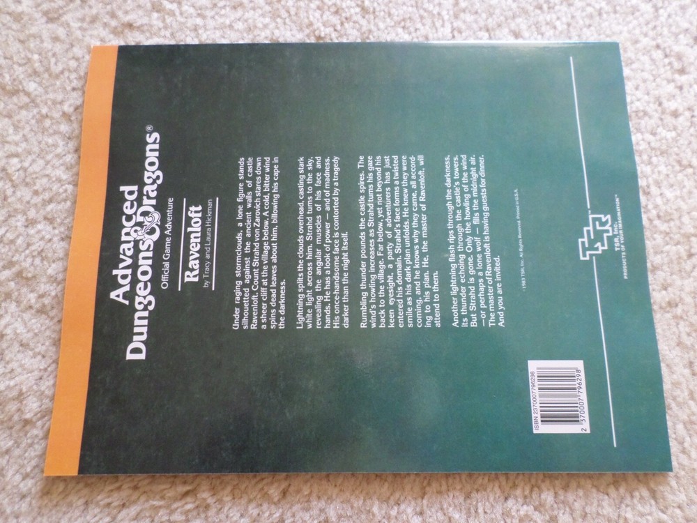 Ravenloft adventure module I6 Dungeons & Dragons