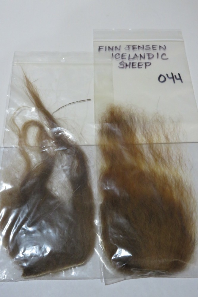 Icelandic Sheep (2)
