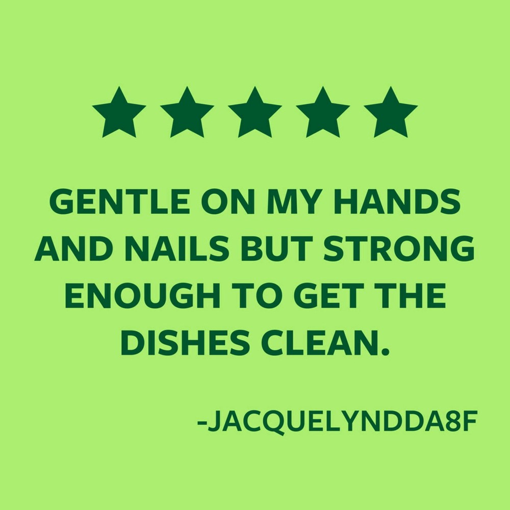 Non-Scratch Dishwand Refills, 10 Refills