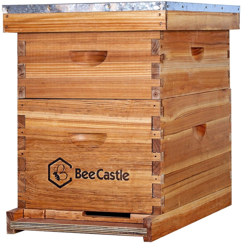 Durable 8-Frame Langstroth Bee Hive Kit with Beeswax Coating & Easy Assembly
