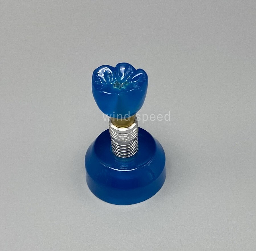 Dental Implant Model Demonstration Teeth Study Teaching Models Detachable M2020