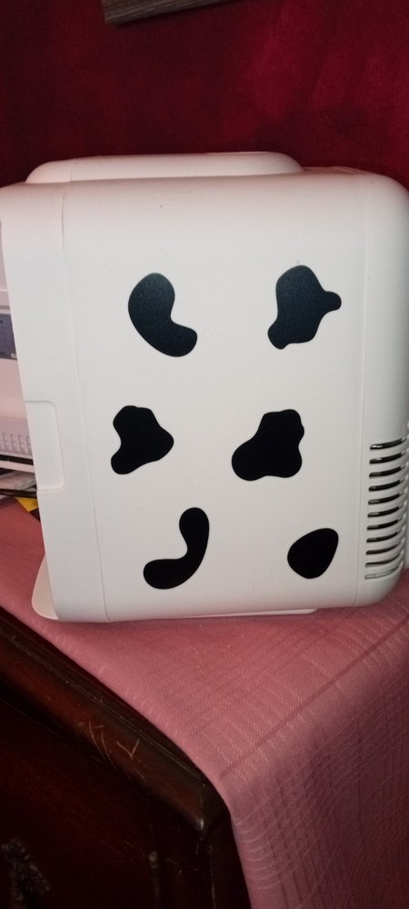 Mini Fridge / Warmer